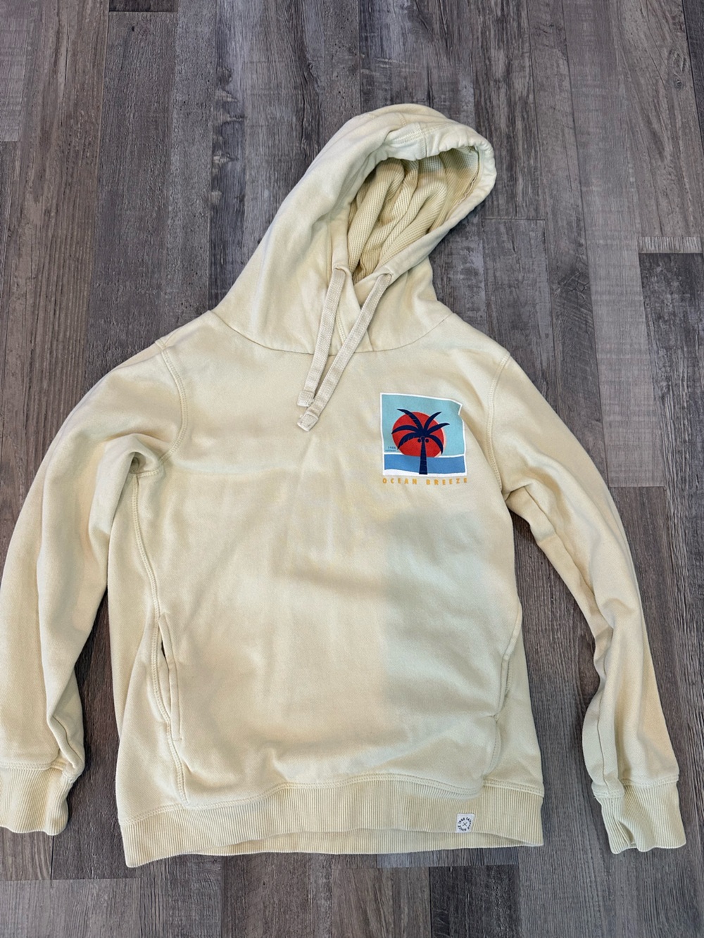 Fat Face Cream Pullover Hoodie with Palm Graphic